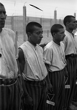 Cuatro prisioneros con pantalones a rayas, de pie, quietos, foto propagandística de la SS (Derechos de imagen: Archivo Federal).